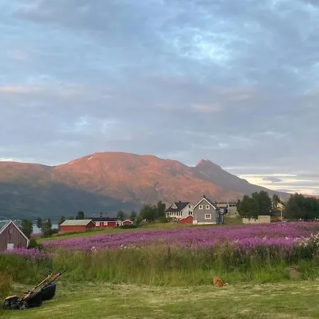 Norwegian House *