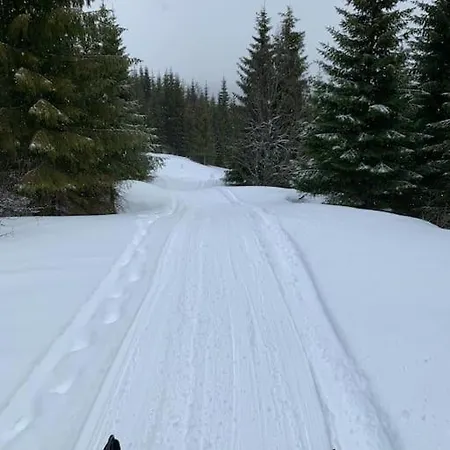 Norwegian House Hestnes (Troms)